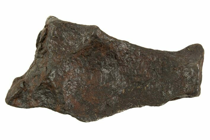 Canyon Diablo Iron Meteorite ( g) - Arizona #335975